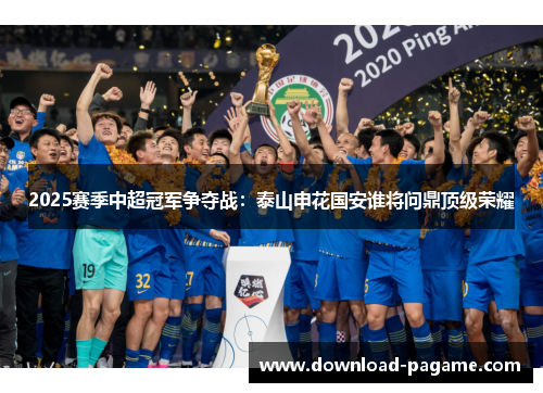 2025赛季中超冠军争夺战：泰山申花国安谁将问鼎顶级荣耀