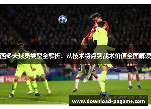 西多夫球员类型全解析：从技术特点到战术价值全面解读