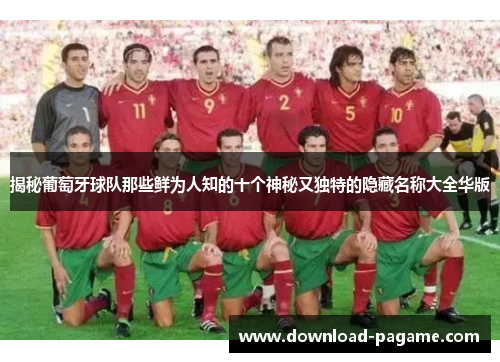 揭秘葡萄牙球队那些鲜为人知的十个神秘又独特的隐藏名称大全华版 揭秘葡萄牙球队那些鲜为人知的十个神秘又独特的隐藏名称大全华版